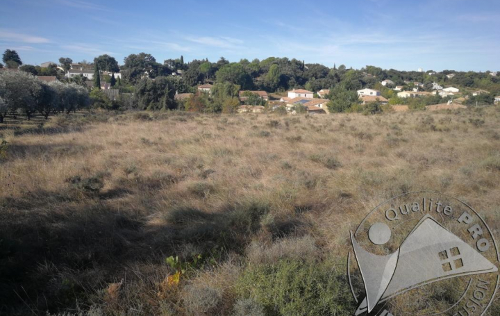 Réseau Immo-diffusion : Terrain  BEAULIEU  887 m2 47 000 € 