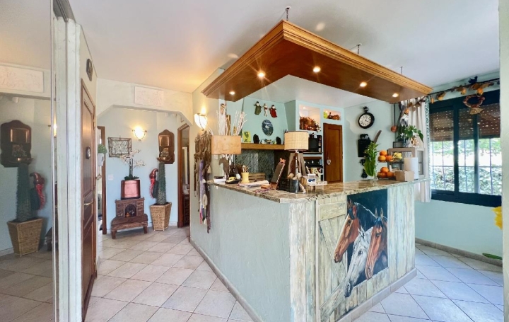 Réseau Immo-diffusion : Villa  MONTPELLIER  207 m2 458 000 € 