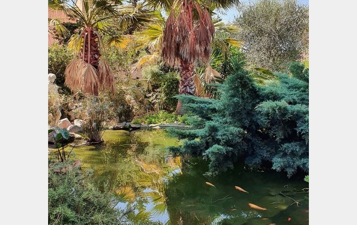 Maison LE GRAU-D'AGDE (34300)  258 m2 1 495 000 € 