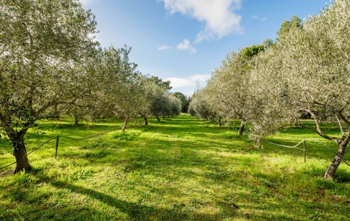 Villa BEZIERS (34500)  335 m2 940 000 € 