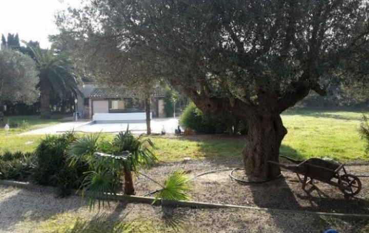 Réseau Immo-diffusion : Maison  THEZA  180 m2 530 000 € 