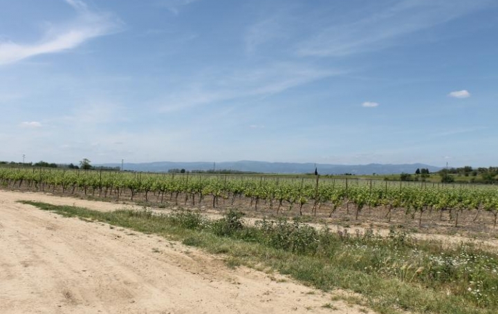 Réseau Immo-diffusion : Villa  BLOMAC  91 m2 125 000 € 