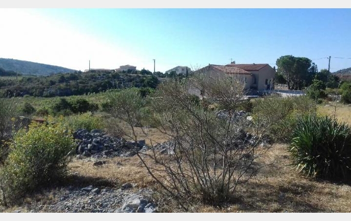 Réseau Immo-diffusion : Terrain  VINGRAU  1 165 m2 124 900 € 