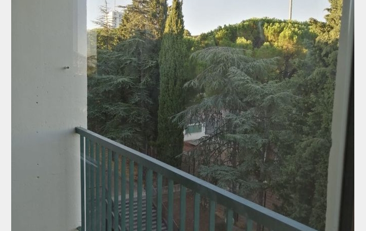 3 Pièces NIMES (30900)  62 m2 661 € 