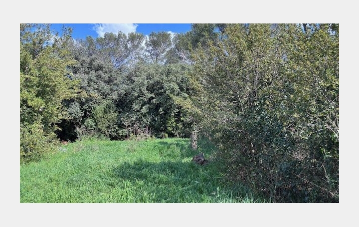 Maison NIMES (30900)  120 m2 470 000 € 