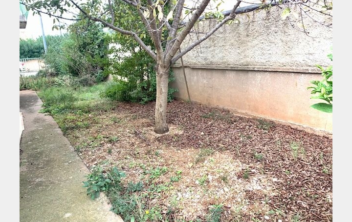 Terrain FRONTIGNAN (34110)   145 000 € 