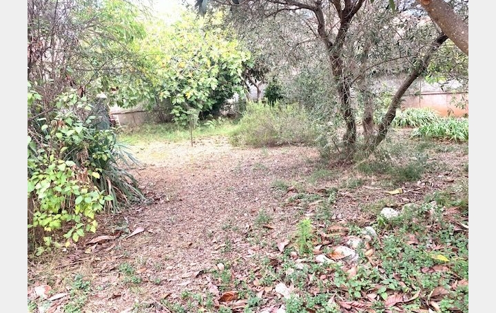 Terrain FRONTIGNAN (34110)   145 000 € 