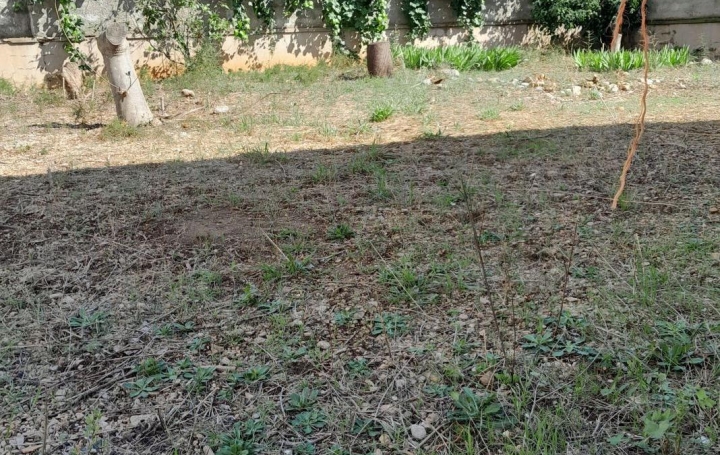 Terrain FRONTIGNAN (34110) 0 m<sup>2</sup> 145 000 € 