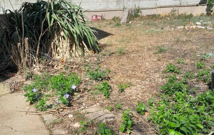 Terrain FRONTIGNAN (34110)   145 000 € 