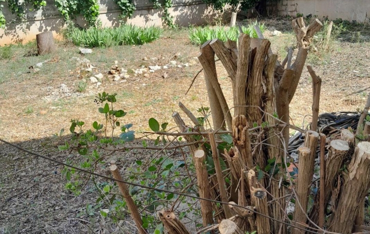 Terrain FRONTIGNAN (34110)   145 000 € 