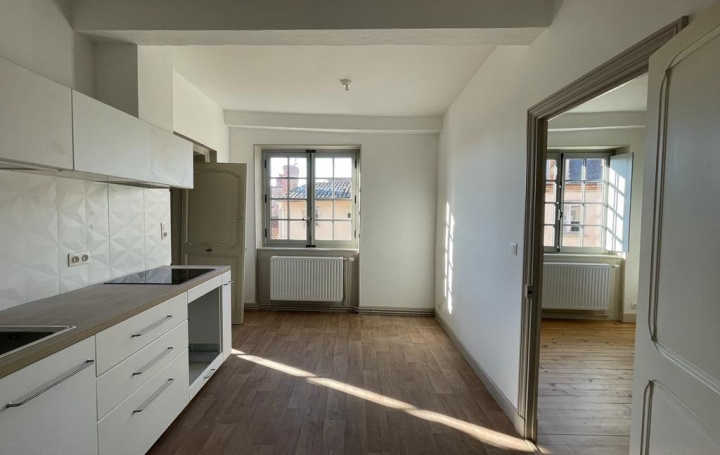 Réseau Immo-diffusion : Appartement P3  THIERS  84 m2 556 € 