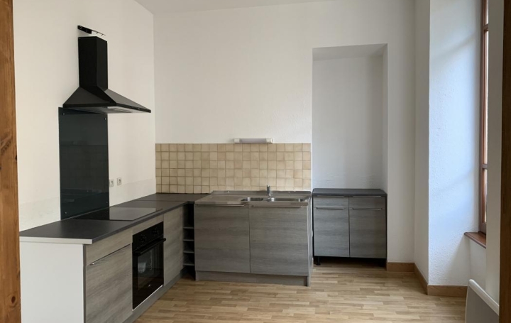 Réseau Immo-diffusion : Appartement P8  THIERS  203 m2 99 000 € 