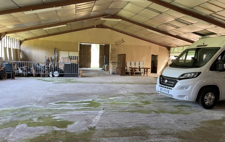 Local d'activité THIERS (63300)  1 000 m2 110 000 € 