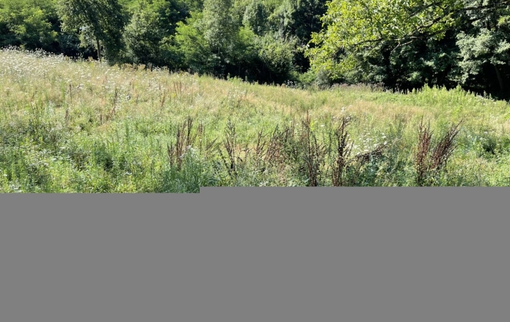 Terrain THIERS (63300)  1 000 m2 110 000 € 