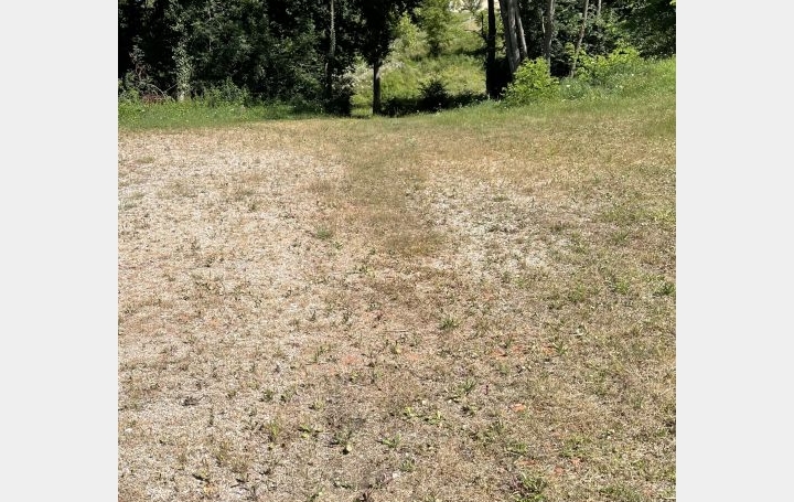Terrain THIERS (63300)  1 000 m2 110 000 € 