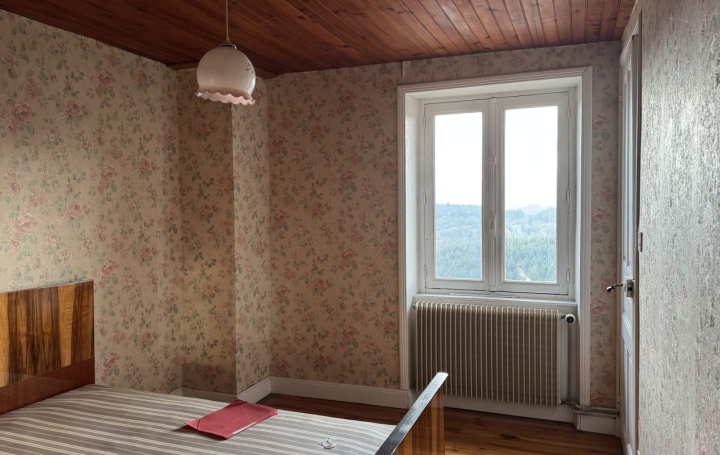 Maison de ville SAINT-REMY-SUR-DUROLLE (63550)  95 m2 85 000 € 