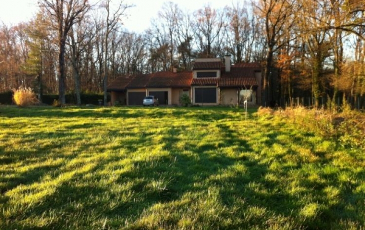 Réseau Immo-diffusion : Maison  ORLEAT  175 m2 315 000 € 