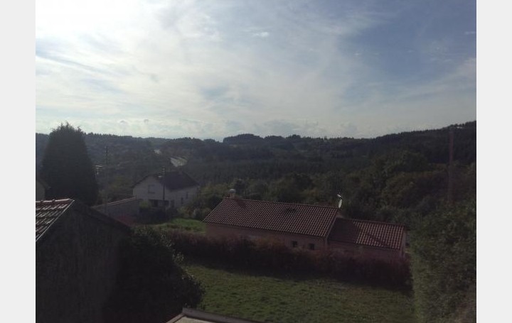 Réseau Immo-diffusion : Maison de ville  SAINT-REMY-SUR-DUROLLE  165 m2 140 000 € 