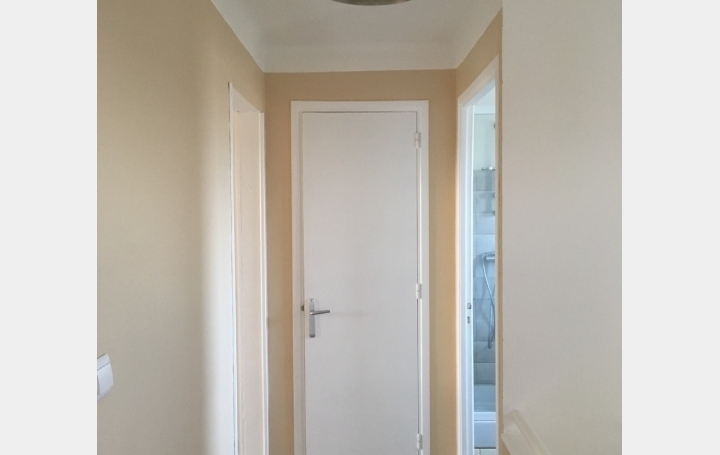 Maison ALBI (81000)  100 m2 850 € 