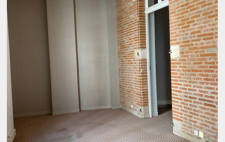 Local d'activité ALBI (81000)  145 m2 950 € 