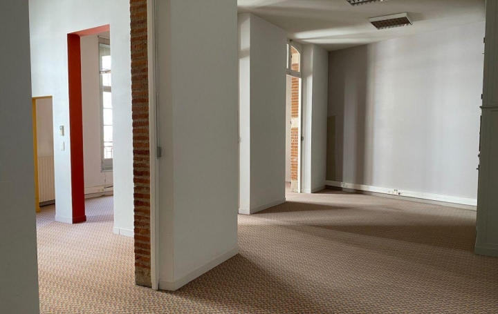 Local d'activité ALBI (81000)  145 m2 950 € 