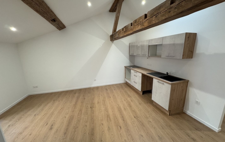 3 Pièces REALMONT (81120)  47 m2 620 € 