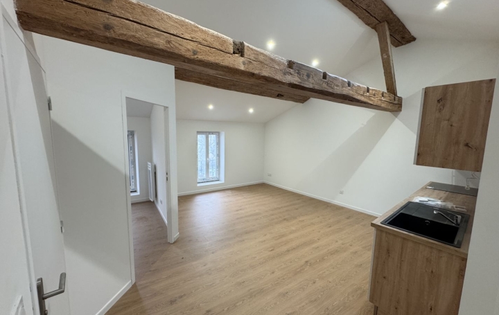 3 Pièces REALMONT (81120)  47 m2 620 € 