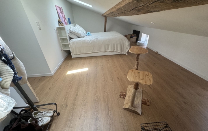 3 Pièces REALMONT (81120)  47 m2 620 € 