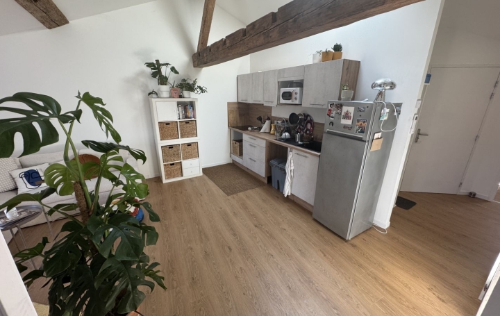 3 Pièces REALMONT (81120)  47 m2 620 € 