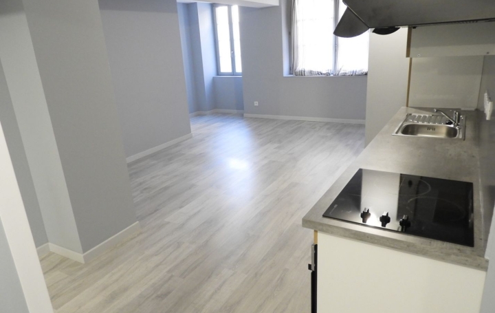 3 Pièces REALMONT (81120)  63 m2 600 € 