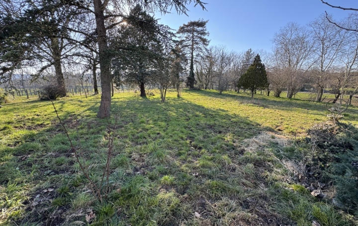 Maison REALMONT (81120)  265 m2 880 € 