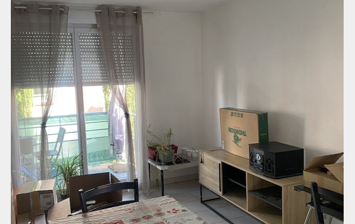 2 Pièces ALBI (81000)  42 m2 500 € 