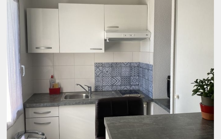 2 Pièces ALBI (81000)  42 m2 500 € 