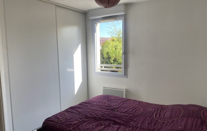 2 Pièces ALBI (81000)  42 m2 500 € 