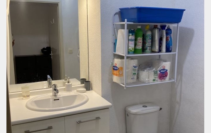 2 Pièces ALBI (81000)  42 m2 500 € 