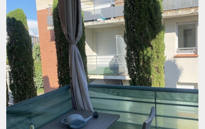 2 Pièces ALBI (81000)  42 m2 500 € 