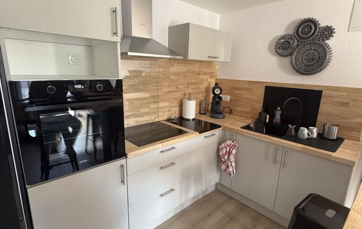 Maison REALMONT (81120)  51 m2 700 € 