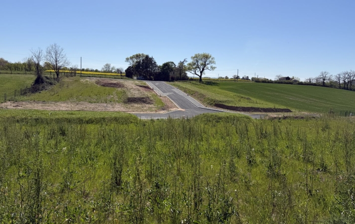 Terrain MONTDRAGON (81440)   55 000 € 