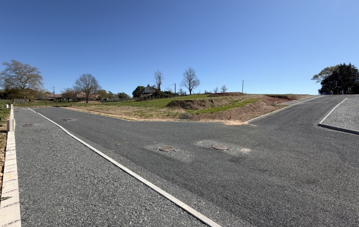 Terrain MONTDRAGON (81440)   55 000 € 