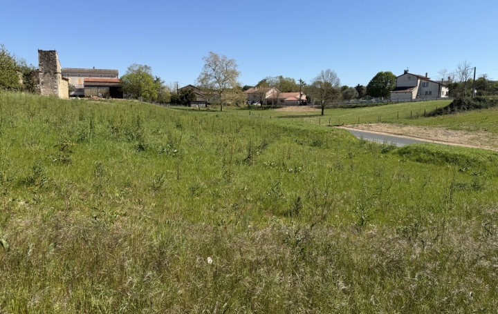 Terrain MONTDRAGON (81440)   55 000 € 