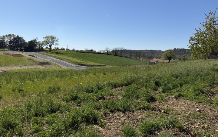 Terrain MONTDRAGON (81440)   55 000 € 