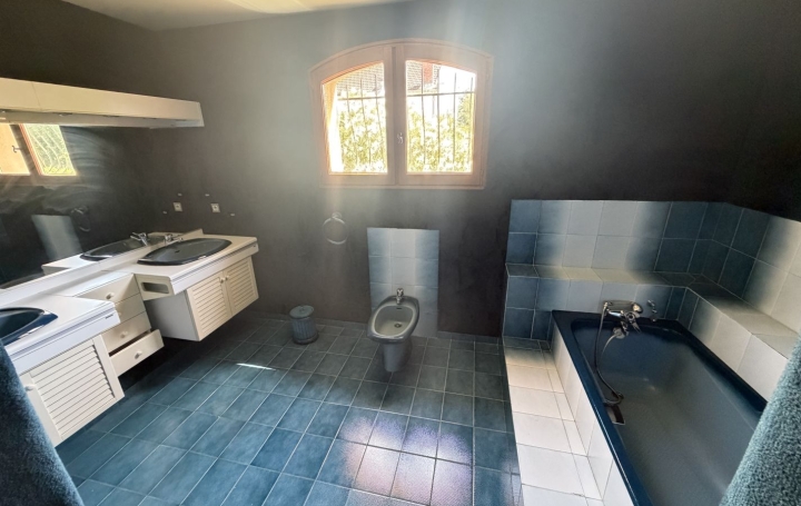 Maison GAILLAC (81600)  280 m2 440 000 € 