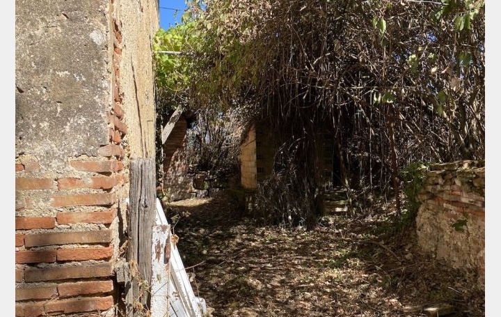 Maison ALBI (81000)  350 m2 200 000 € 