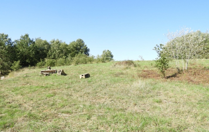 Terrain REALMONT (81120)   55 000 € 