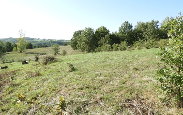 Terrain REALMONT (81120)   55 000 € 
