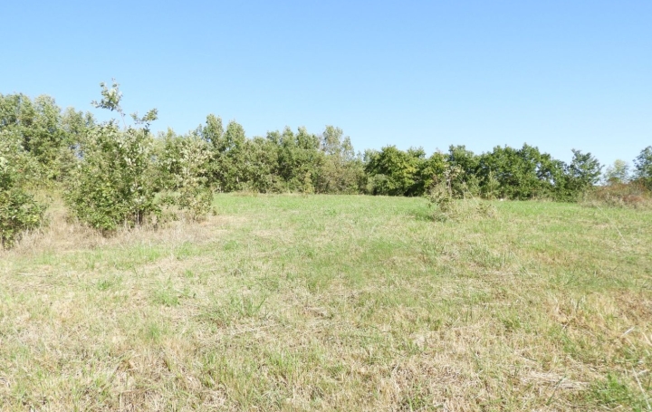 Terrain REALMONT (81120)   55 000 € 