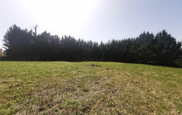 Réseau Immo-diffusion : Terrain  SAINT-ANDRE-D'OLERARGUES   69 900 € 