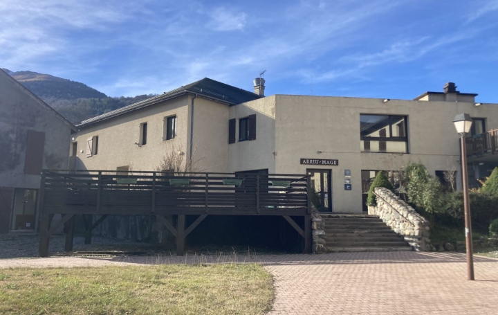 Local d'activité BIELLE (64260)  161 m2 113 500 € 