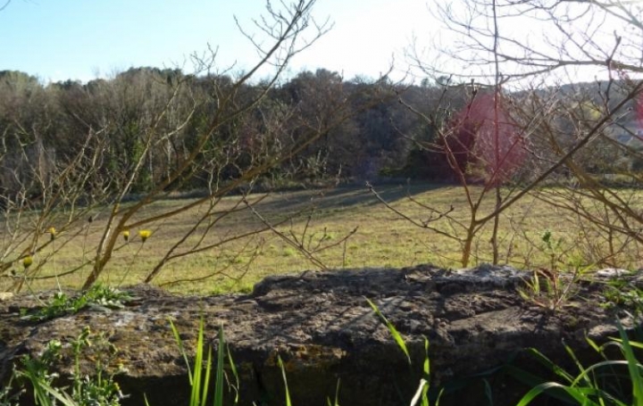 Réseau Immo-diffusion : Terrain  LE PIN   72 800 € 