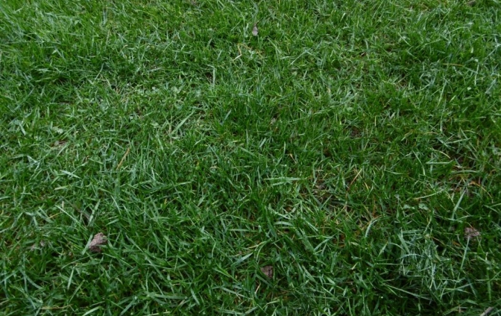 Réseau Immo-diffusion : Terrain  SAINT-PARDON-DE-CONQUES   55 000 € 